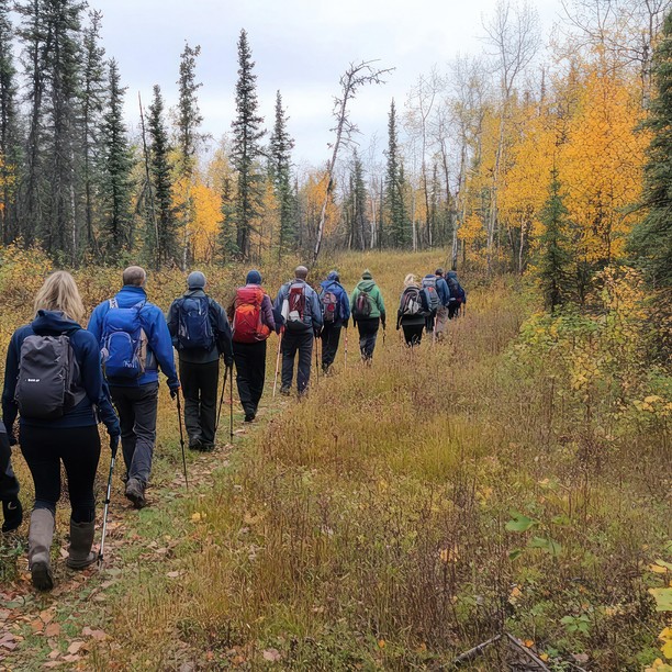 A group of hikers walking through a forest trail with autumn foliage.